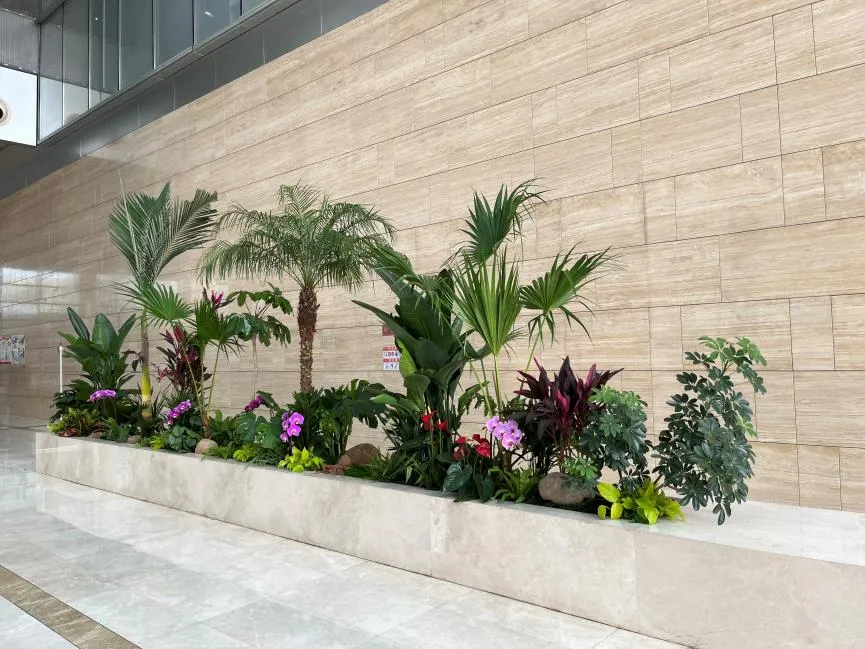 前湾绿植租赁价格实惠